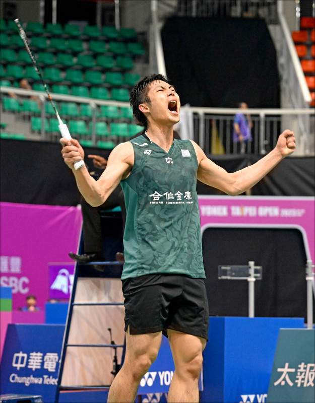 中表现出色 中表现出色