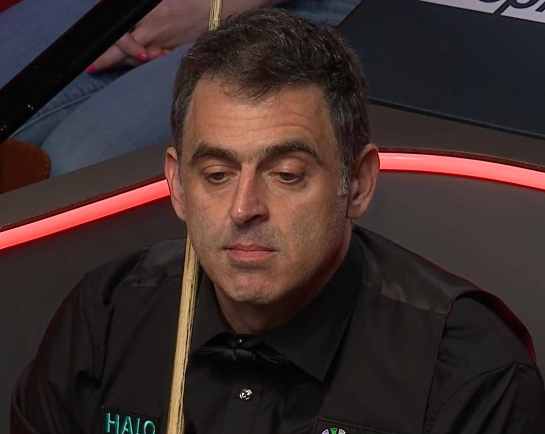 累的智慧体 累的智慧体