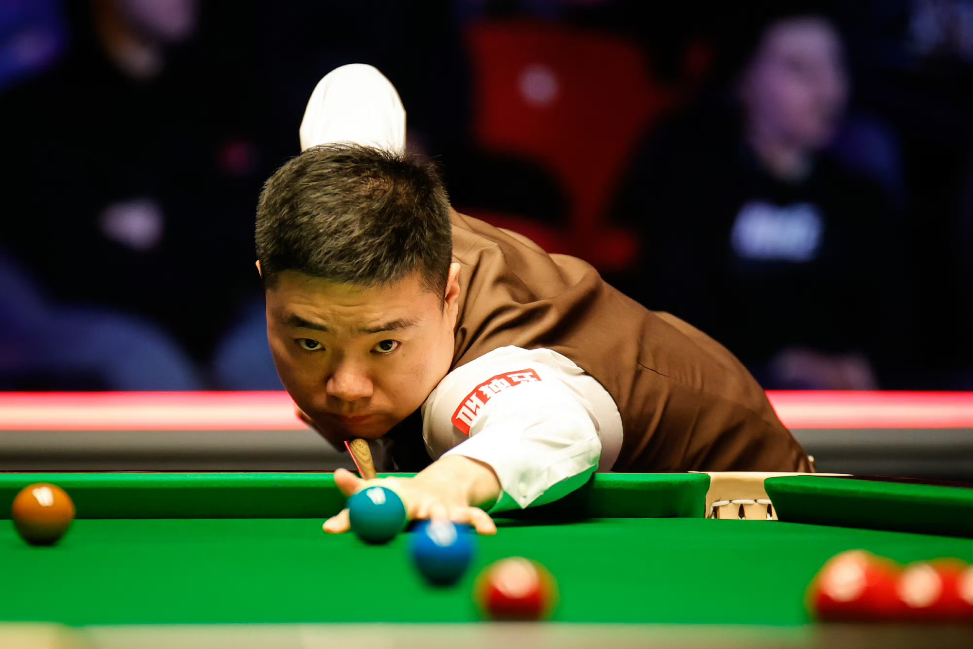 他家庭互动 他家庭互动