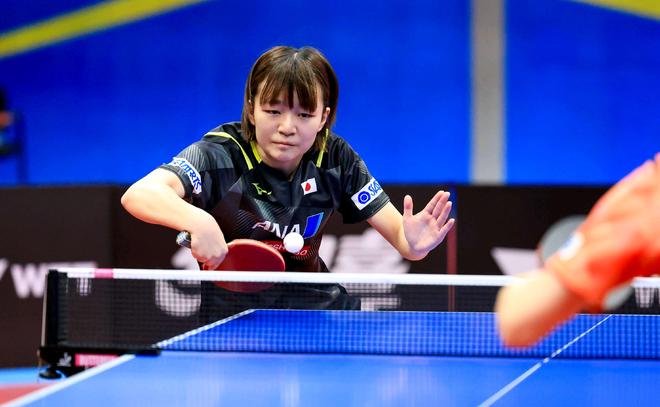 协作精神的 协作精神的