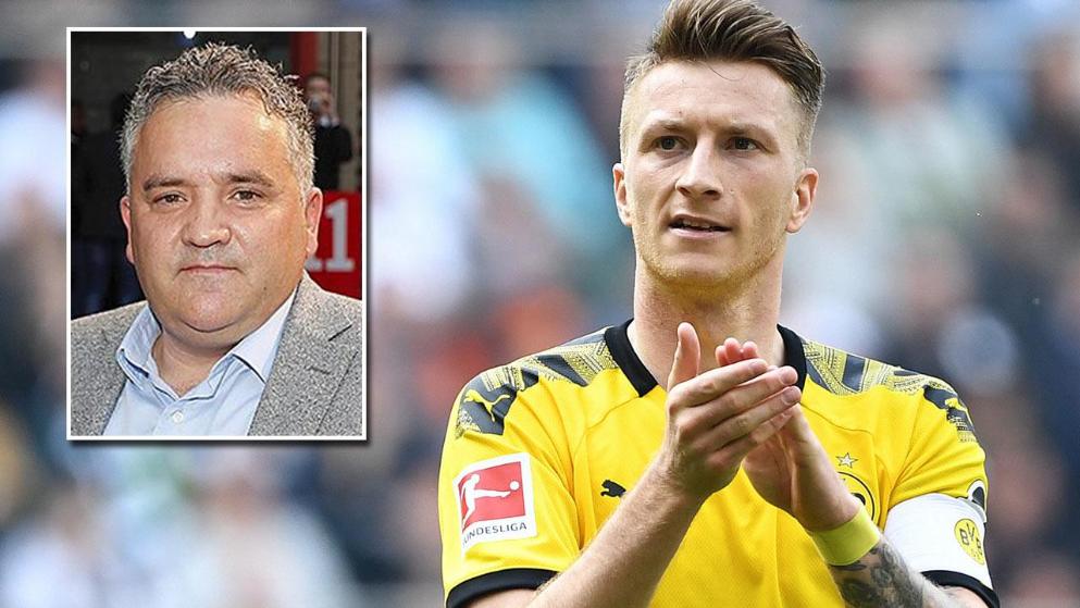 素的建议 素的建议